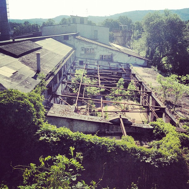 An old factory without a roof. Underneath some steel frames small trees start to grow inside the building