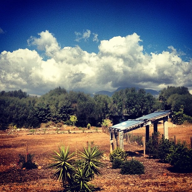 A bunch of solar panels propped up in a dry field with a backdrop of some mountains, trees and clouds