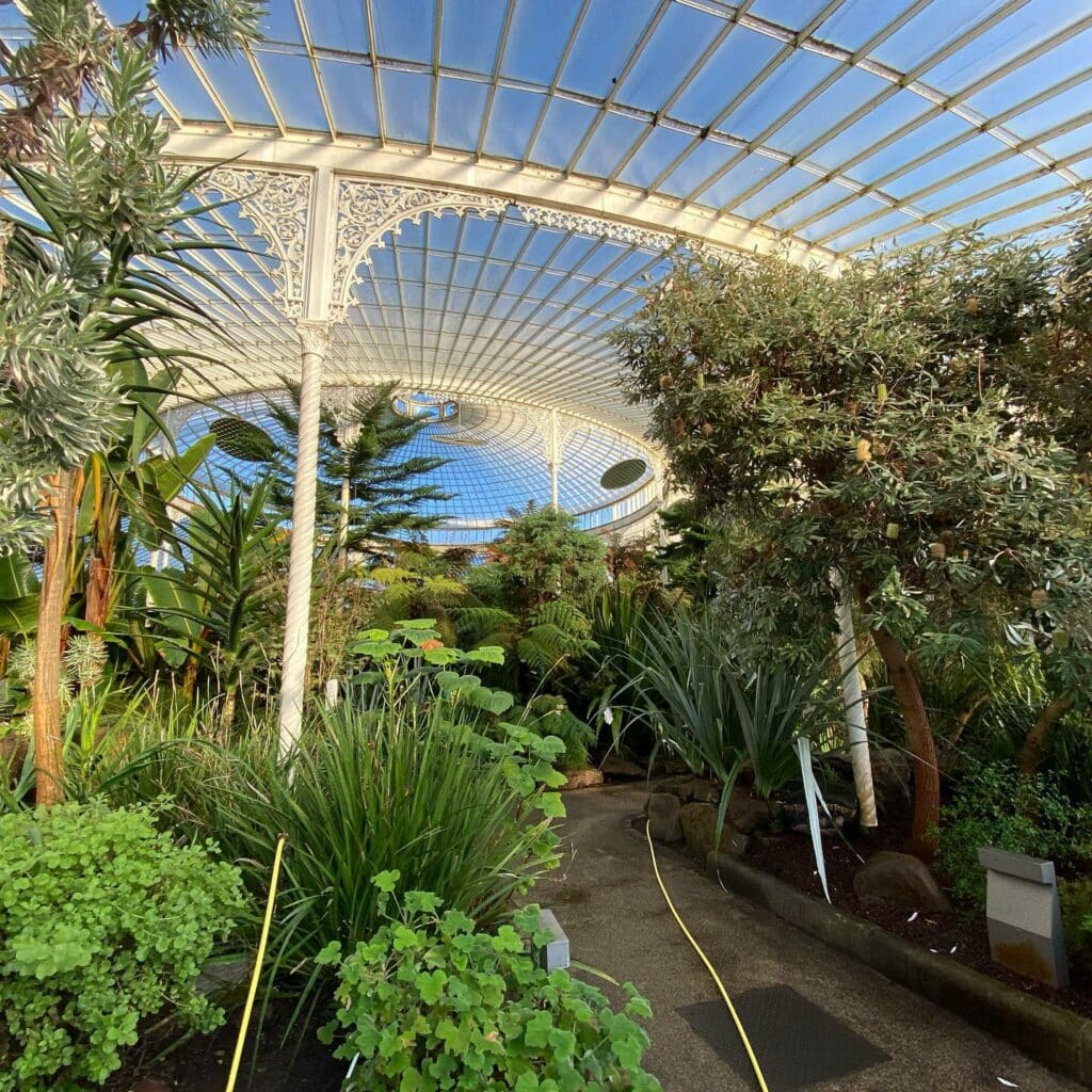 An abundance of greenery in an victorian round greenhouse