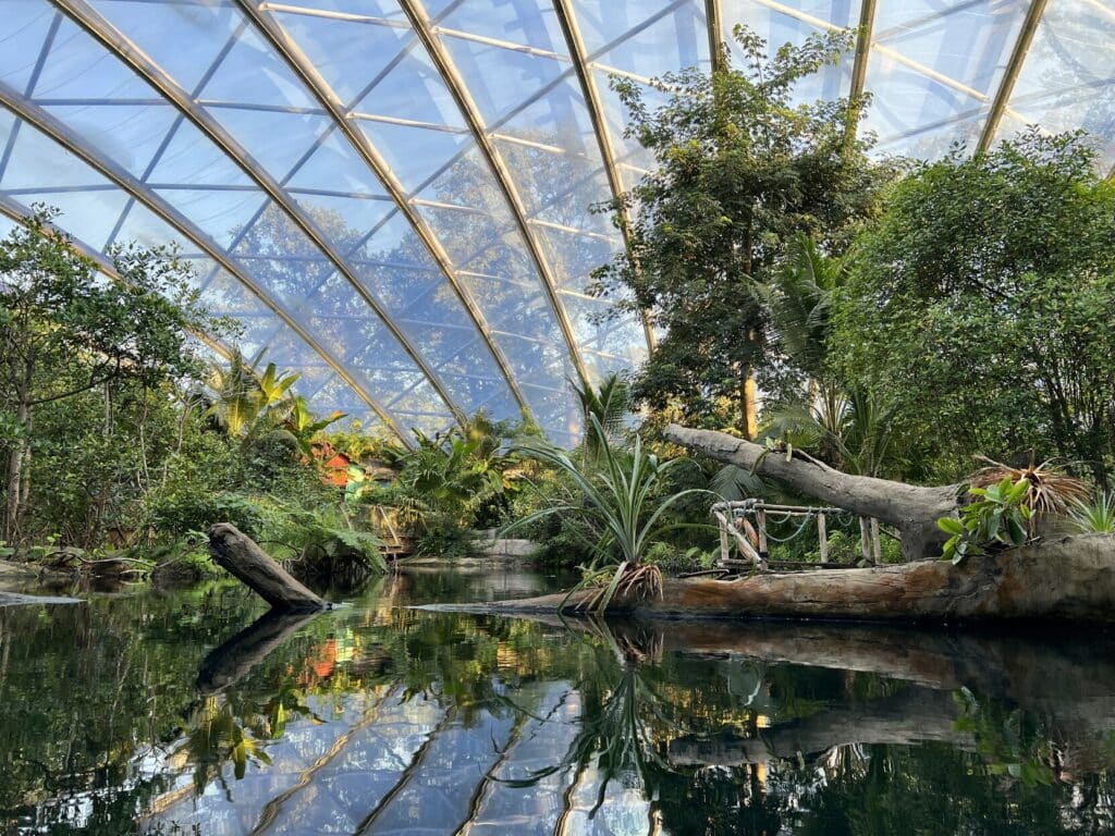 Panoramic shot of Burgers Zoo's Mangrove. Water in the foreground, plants in the background all inside a giant translucent dome.