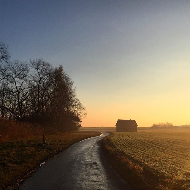 Sunset to the right. A couple of trees on the left a winding road in the center and an empty field to the right