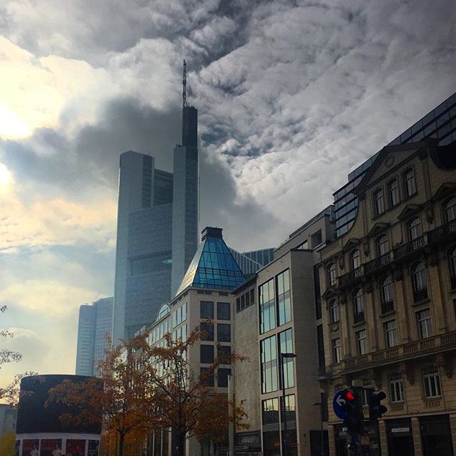 A foggy fall day. Tall high-rises in the background., bland office buildings in the foreground.