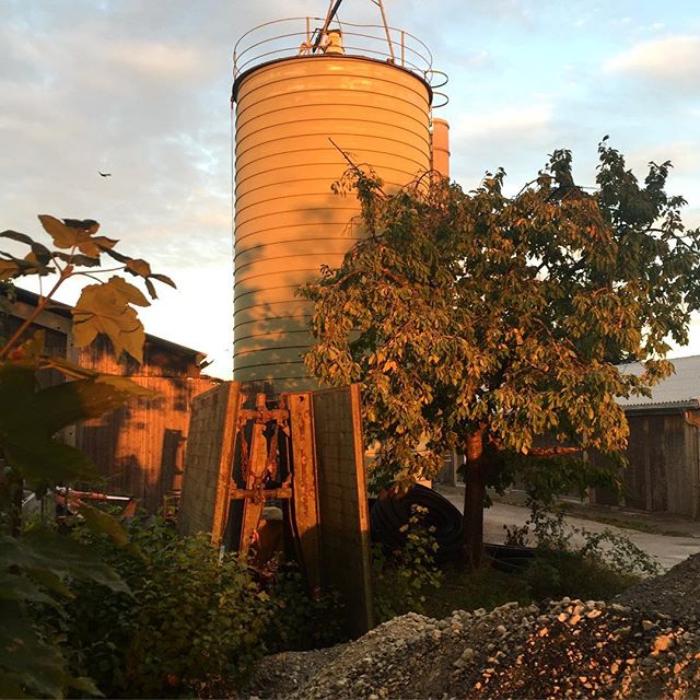 A farm silo in sunset