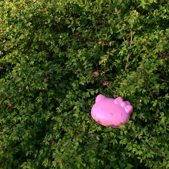 A bright pink hello kitty toy in a bush