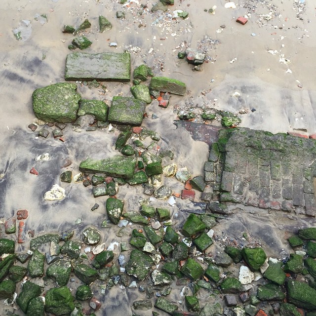 Moss covered stones in sand