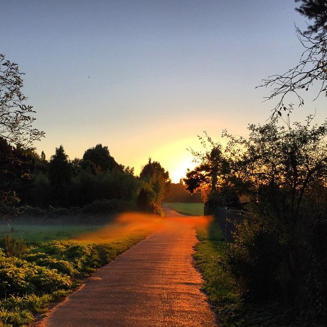 Asphalt patch between small gardens and fields in sunset. A bit of fog over the path