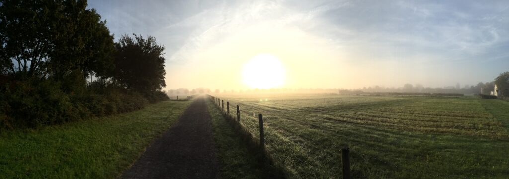 Hazy view at a field