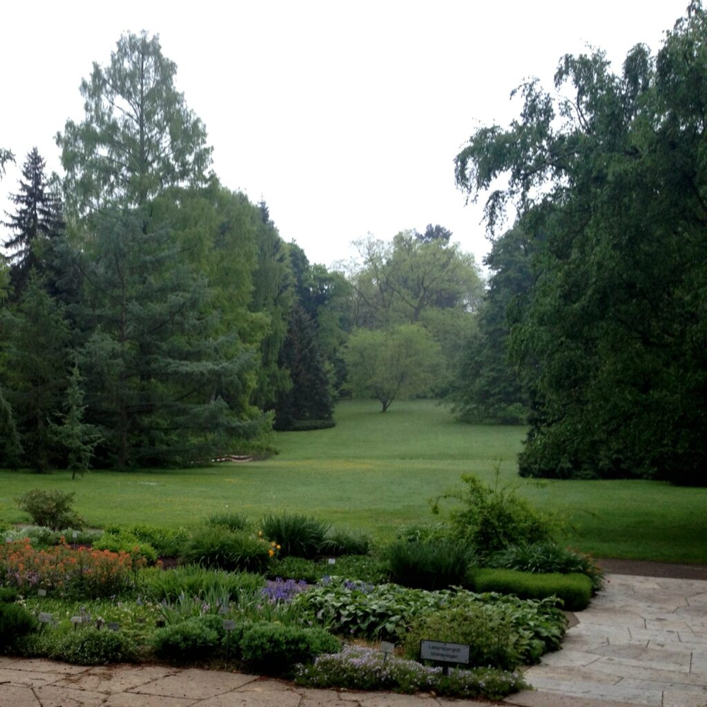 Rainy view at a park with lots of gras and trees