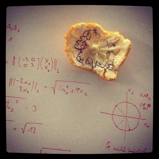 A piece of orange peel with an elephant doodle on some math notes