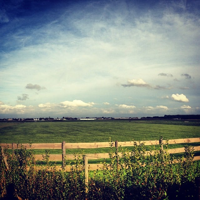 A sunny day over a green meadow behind a fence