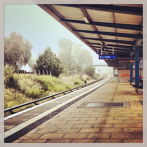 Train platform with some greenery next to the train tracks