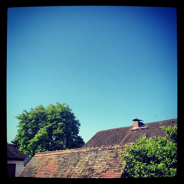 View out a window looking over some roofs and a big tree in sunlight with a blue sky