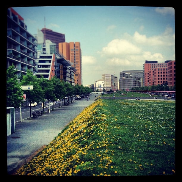 A row of buildings left and right of a wide strip of grass