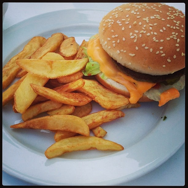 A burger and some fries