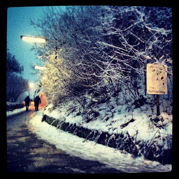 A walkway up a steep incline, partially covered in snow, next to some bushes also covered in snow