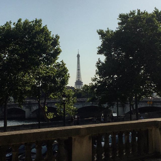 The Eifel Tower between to tall trees