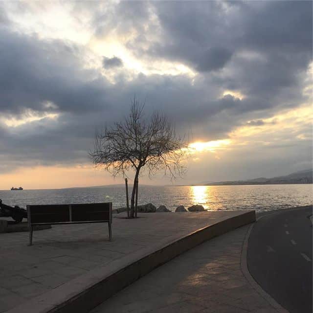 Sunset over a bay, a small tree and a bench in the foreground