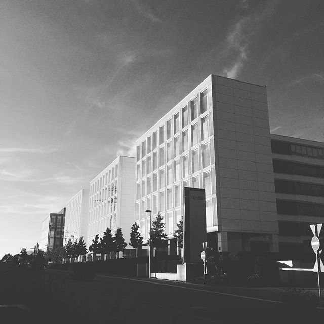 Black and White image of a row of office buildings