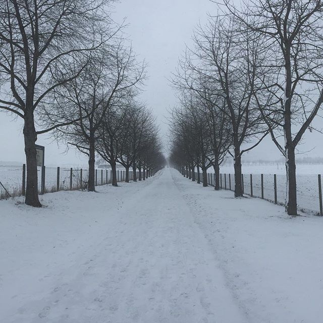 A snowy path between to fields.